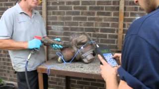 Hand Arm Vibration Analysis HAV's