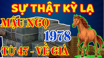 Sự Thật Kỳ Lạ: Mậu Ngọ 1978 cả đời tích phúc, về già hưởng trọn lộc trời, tiền bạc ngập nhà