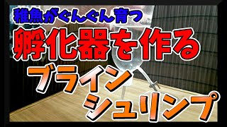 メダカの稚魚がぐんぐん育つブラインシュリンプの孵化器を作ったよ Japanese Medaka Youtube メダカの稚魚がぐんぐん育つブラインシュリンプの孵化器を作ったよ Japanese Medaka Youtube