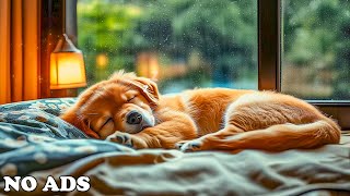12 Hours Dog Relaxation Music 🐶Healing For Dogs &amp; Piano🐶Home-Alone Comfort &amp; Sleep💖