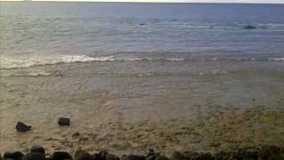 Download Lagu detik detik air surut sbg MP3