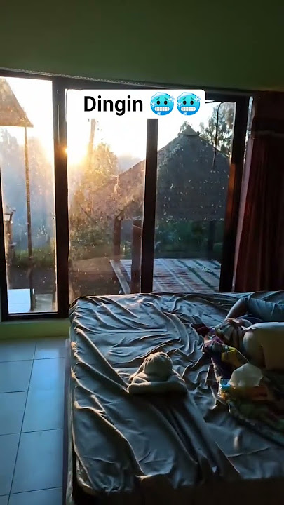 dingin banget jadi malas bangun tidur #shorts #dingin #shortsviral