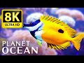 Planet ocean 8k ultra  immerse yourself in nature with music