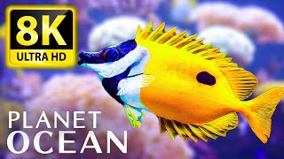 PLANET OCEAN 8K ULTRA HD - Immerse yourself in nature with music
