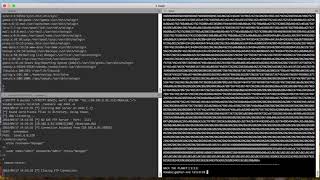 XXE to RCE with gopher