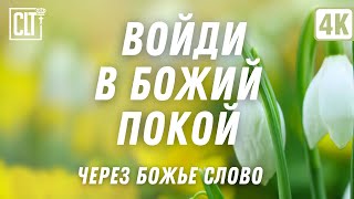 Уверенность в Божьей заботе | Включайте на весь экран и наполните свой дом красотой природы и Словом