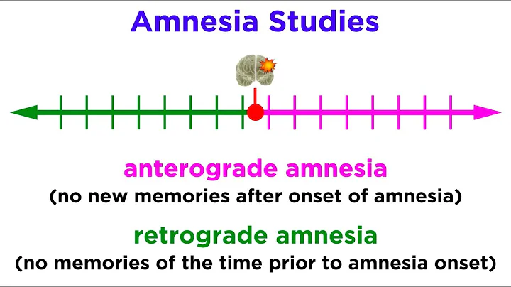 Information Storage and the Brain: Learning and Memory - DayDayNews