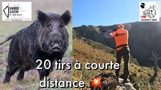 Compilation de tirs sur sangliers à très courte distance en battue💥🐗 chasse en Corse