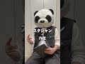 IVEの東京ドーム公演のグッズ先行販売始まったよ!#kpop#ive#東京ドーム公演#shorts