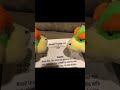 Bowser Jr learns to spell his name and Math in Magical Mario Broa