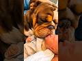Cute Babies and Dogs 💕🐕🐾 #shorts #shortfeed #puppy #dog #viral