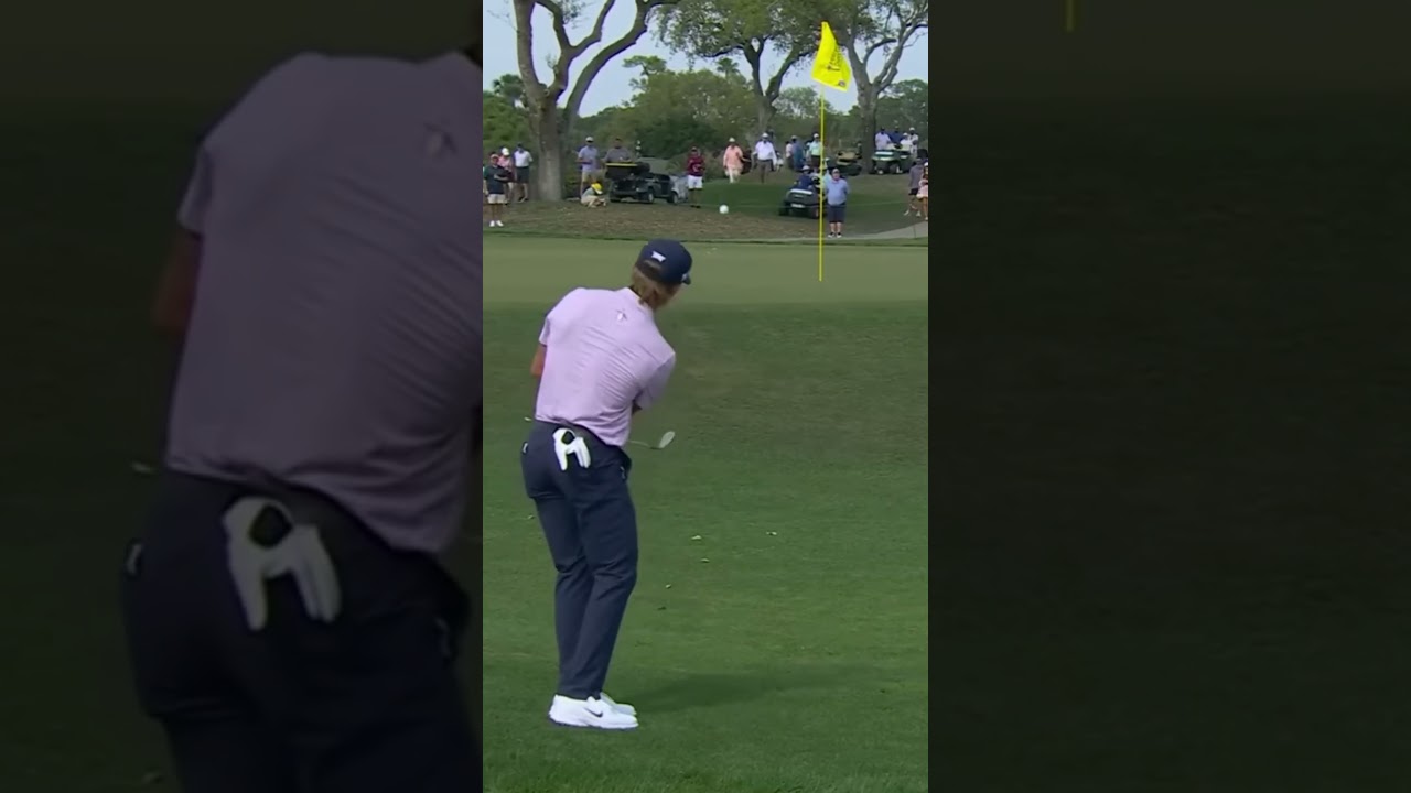 A Test of Skill! 😲 Takes Four Shots to Sink It! 🎯⛳ 