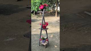 Amazing Flower Frame Growing Tips! 🌺 | Easy Gardening Hack to Get More Blooms Fast