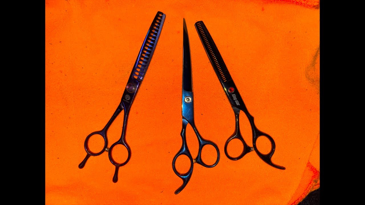 Grooming Shear Sharpening Mike White - Sharpen Right Services LLC - League City, Texas