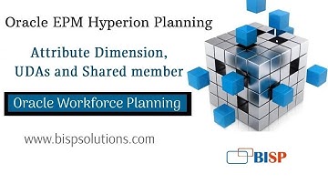 Oracle Workforce Planning Attribute Dimension, UDAs and Shared member | Oracle Custom Workforce App