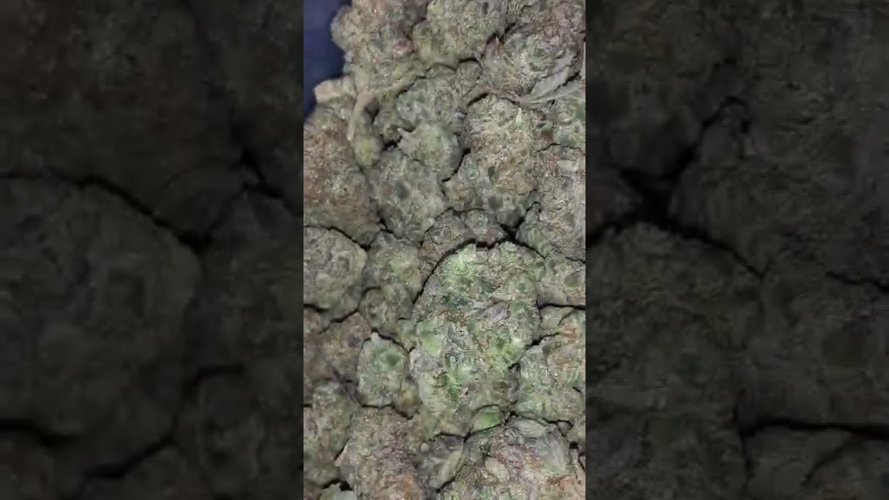 Apple Gelato Exotic Strain Pt2⛽😤🔥 24% THC