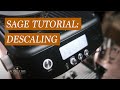 Sage Barista Pro Descaling Tutorial / A step-by-step guide on how to descale your Sage.