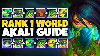 THE ULTIMATE SEASON 14 AKALI GUIDE | COMBOS, RUNES, BUILDS, ALL MATCHUPS  League of Legends