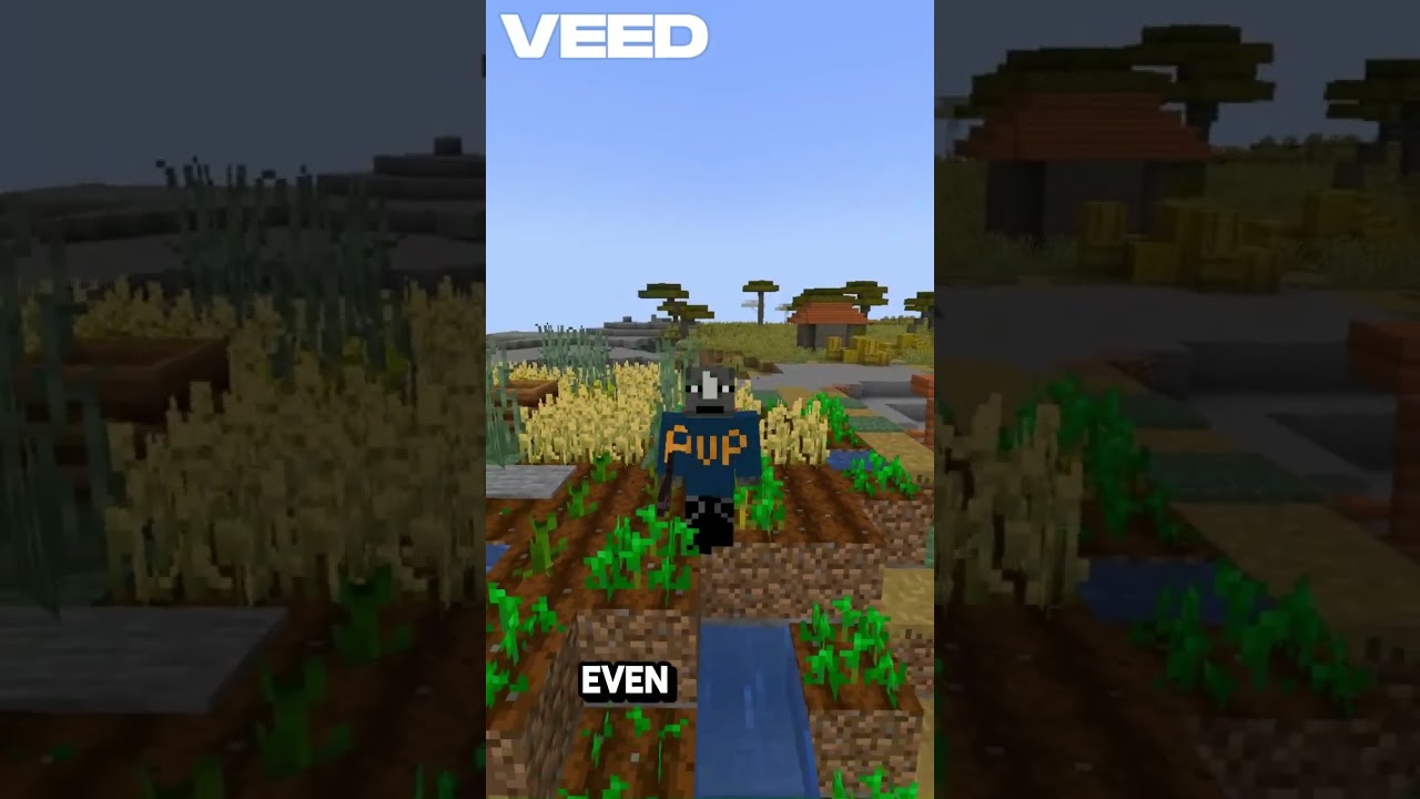 Crazy Glitch With The Iron Golem 