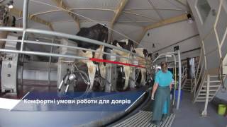 «Проминь», Николаевская обл, Украина
