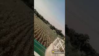Sagar Farm House #Short #video Sagar Farm House #Short #video
