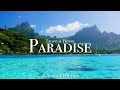 Paradise  tropical house mix  4k scenic film with edm music