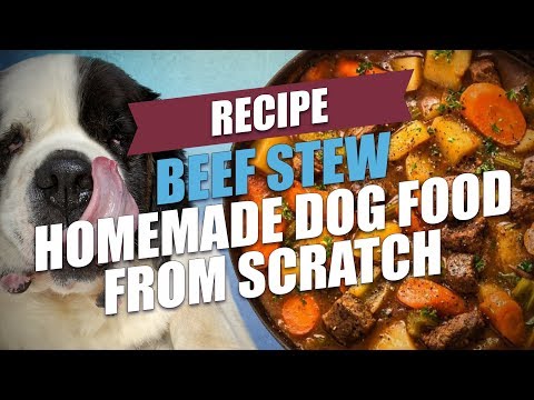 Video: Chó có thể ăn nho?