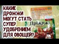 Какие дрожжи могут стать настоящим СУПЕР УДОБРЕНИЕМ для овощных растений? Уникальная подкормка