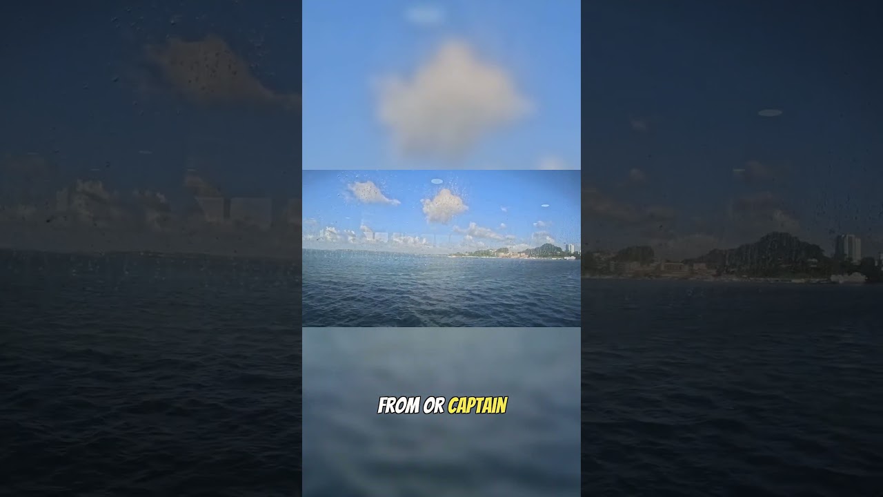 Как происходит прибытие водных такси в Тринидаде 🇹🇹