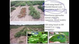 Genome Wide Selection with rrBLUP Part 2