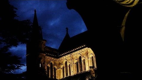 The Eastern Import That Changed Europe Forever