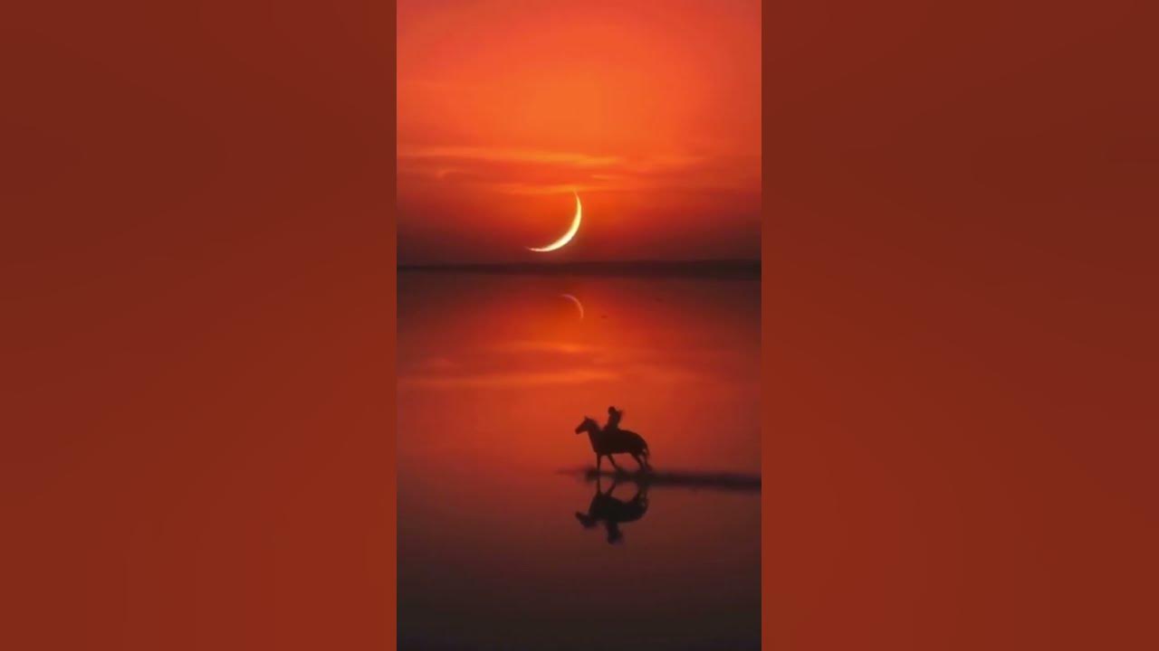 #thecolorsoflove #Chris Rea#Looking for the summer#Musiclover
