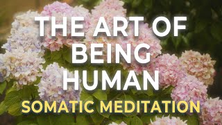 The Art of Being Human | A Somatic Meditation for Nervous System Healing