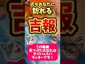 たまたま見たあなただけに訪れる吉報‼️幸運‼️#タロット#占い #連絡
