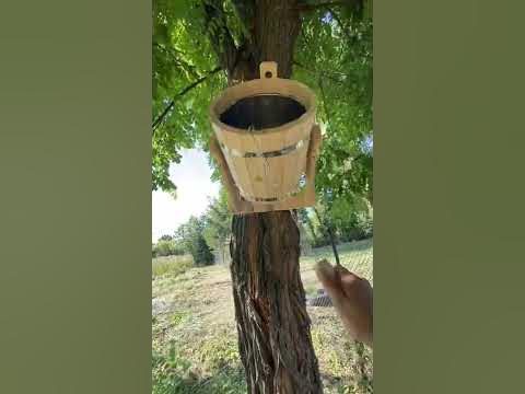Ведро для обливания - YouTube