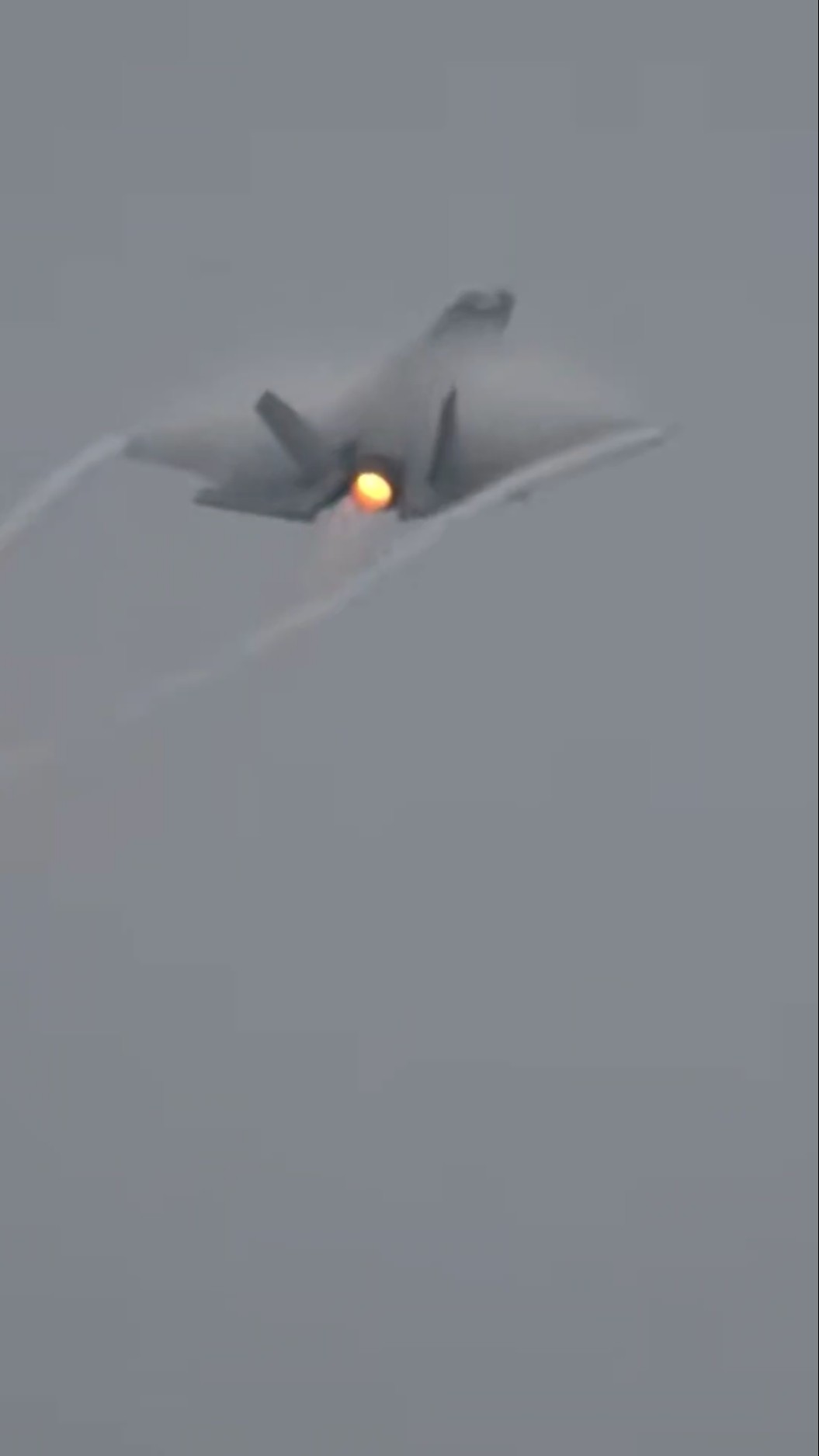 日本初公開どころか米国外で公開されたのも世界初！F-35Cデモチームが