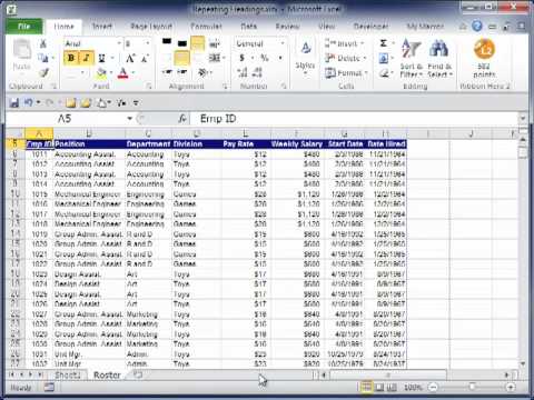 Excel2010Tips