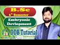 B Sc  6 sem Embryonic development