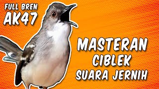 MASTERAN CIBLEK KRISTAL NGEBREN AK47 SUARA JERNIH JEDA 1 -2 MENIT MASTERAN BURUNG