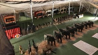 Strange Inheritance: Little big top