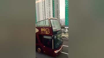 #City Bus #dangdutkoplo #music #koplo #coversong #tasya_rosmala