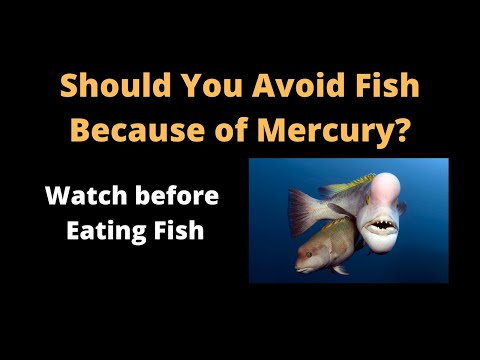 Should You Avoid Fish Because of Mercury? All you need to know about the Mercury in the Fish Intake