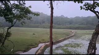 Tusker Inn Resort, Pulpally, Wayanad