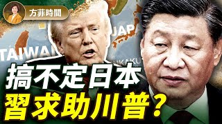 Download Lagu 川習通話，習給自己找台階下；3個原因使川普執念於俄烏調停 ｜ 對談橫河｜方菲播客 MP3