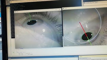 Stereo Pupil Tracking in the HTC Vive - Testing