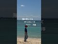 海が恋してる/ザ・リガニーズ　カバー　FJB #cover
