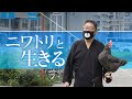 【ガン闘病‥涙の真相】繁華街で鶏とお散歩！？謎の“ニワトリおじさん”に密着 #CBCドキュメンタリー