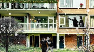 Katzen In Kuscheltieren   Mietshausgeschichten Dezember 2026  Peterweisshaus Rostock