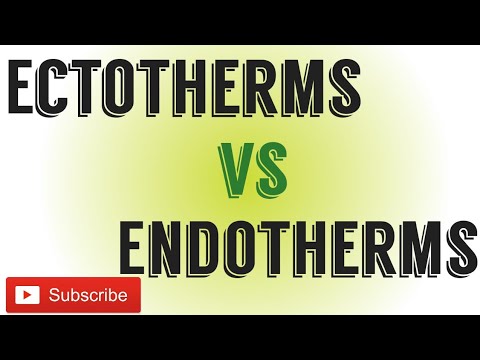 Video: Rozdíl Mezi Ectotherm A Endotherm