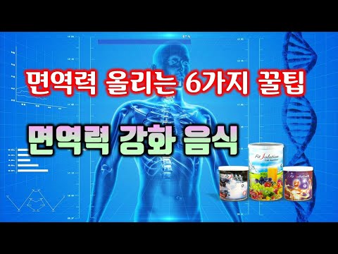 면역 강화 음식과 면역력 높이는 6가지 꿀팁